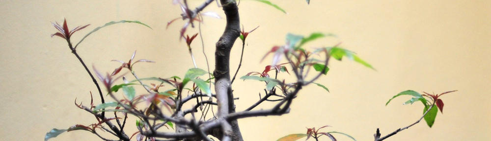 Music with a Message